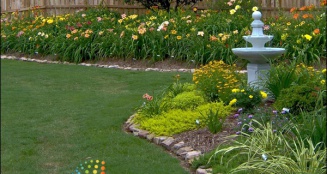 Daylilies-Gardening.jpg