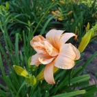 20180717_181354.jpg