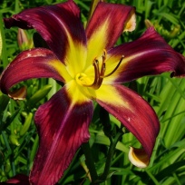 2024-06-14-0fd655fa.jpg