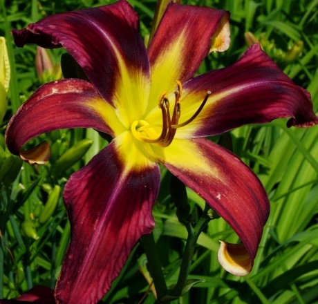 2024-06-14-0fd655fa.jpg